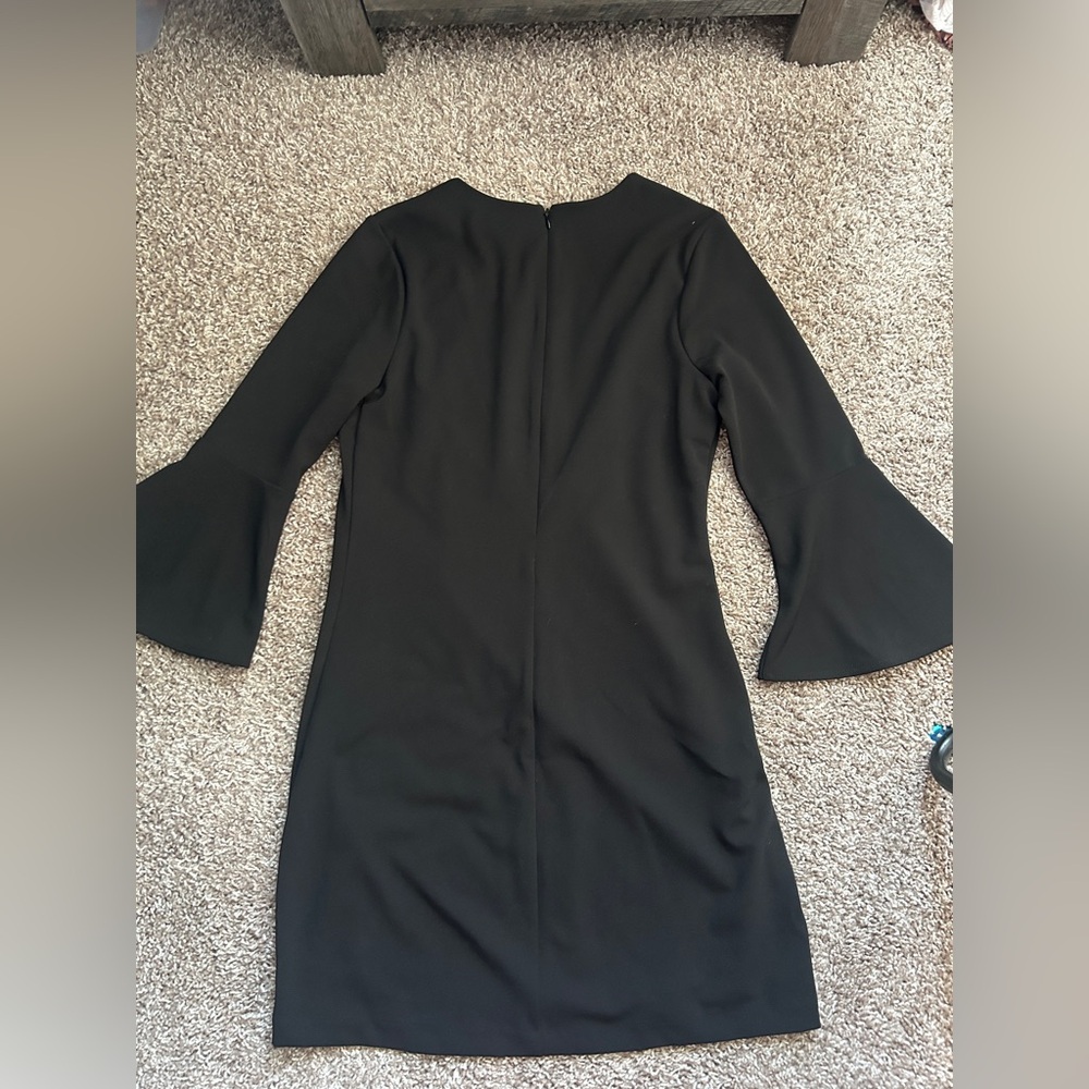 Express Dress - Picture 3 of 5